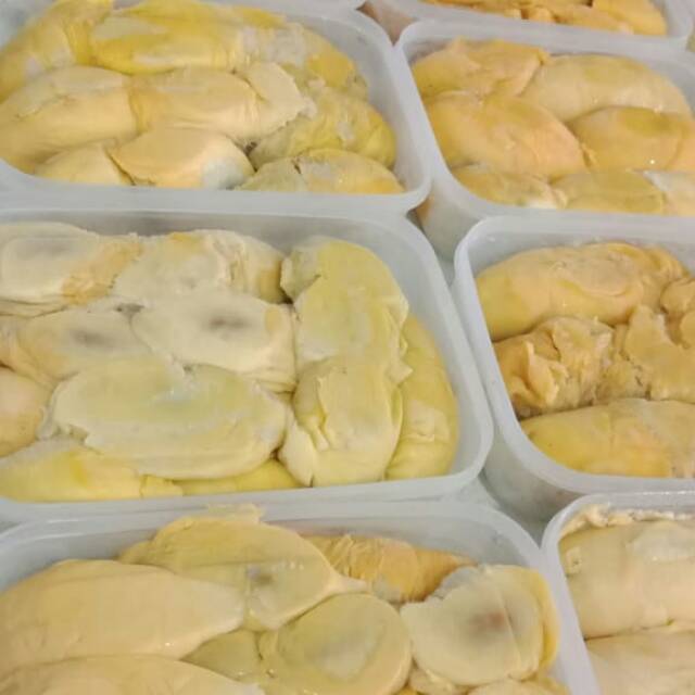 

DURIAN PALEMBANG