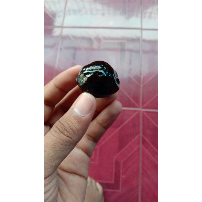 Muncang adu jenis jalim