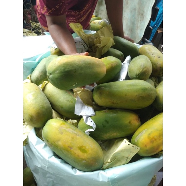 

Pepaya California