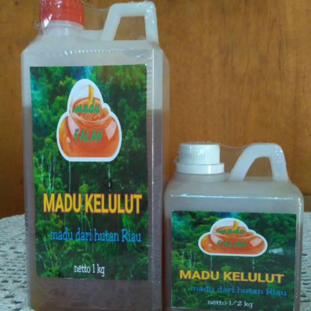 

Madu Klanceng Madu Trigona Madu Kelulut Madu Lanceng Asli 500gr