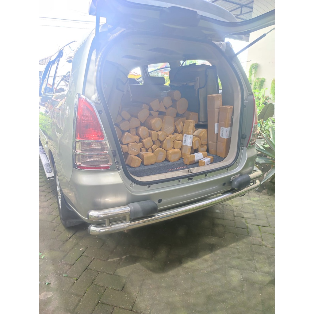 TANAMAN BUNGA MURAH ANTING PUTRI SALJU TANAMAN HIAS INDOOR OUTDOOR