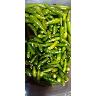 

Cabe / Lombok Rawit hijau / IJO segar