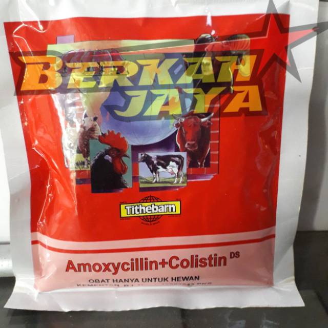 Amoxycillin + Colistin obat pencernaan hewan ayam