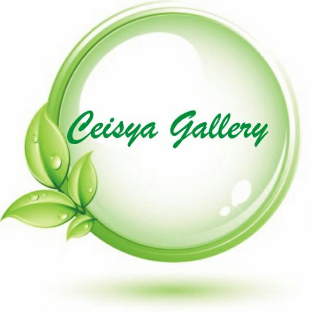 ceisyagallery