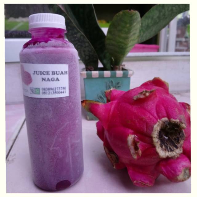 

Juice buah naga murni fresh dengan gula alami