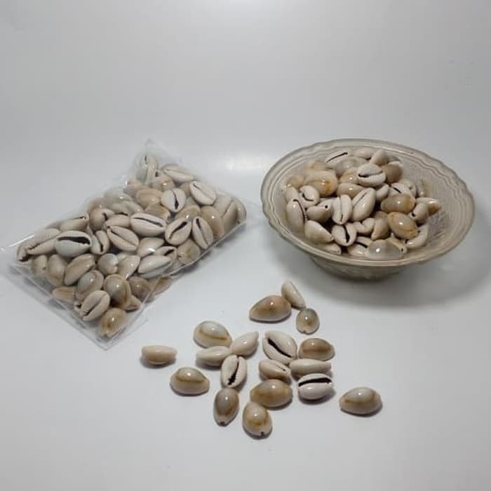 Biji Congklak Asli Kerang Besar Bagus Original Isi 100 Pcs