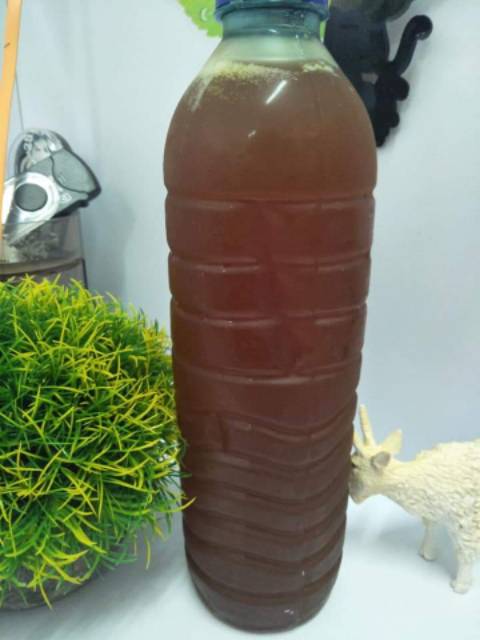 

Madu Asli Hutan Sumbawa