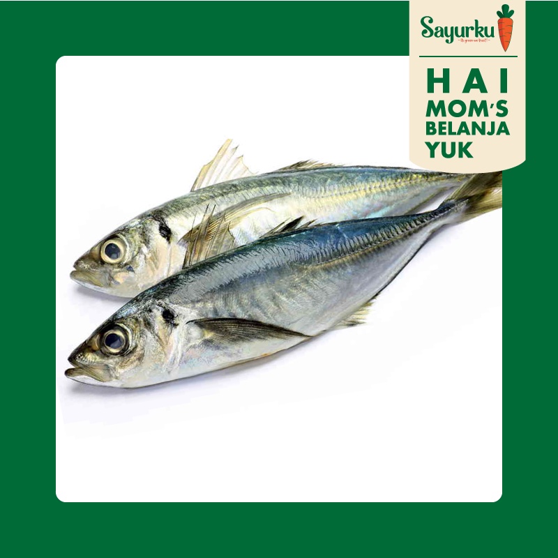 

Ikan Layang 500gr