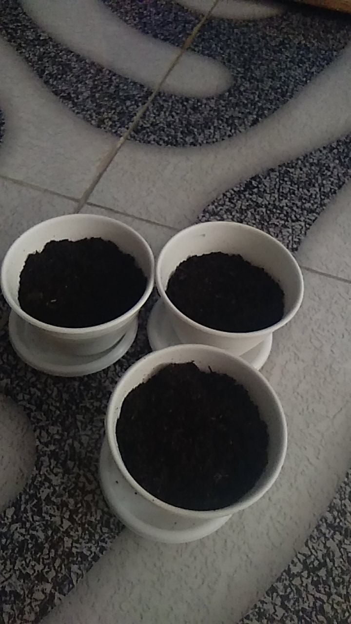 Tatakan Mini 10 Cm Putih