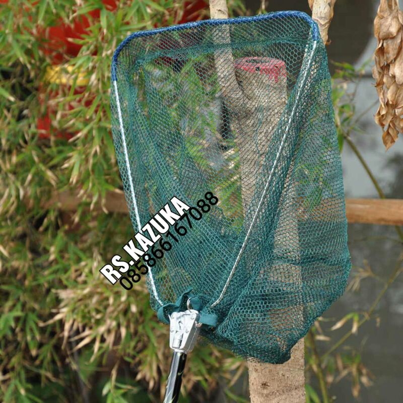 SEROK IKAN MANCING LIPAT MURAH