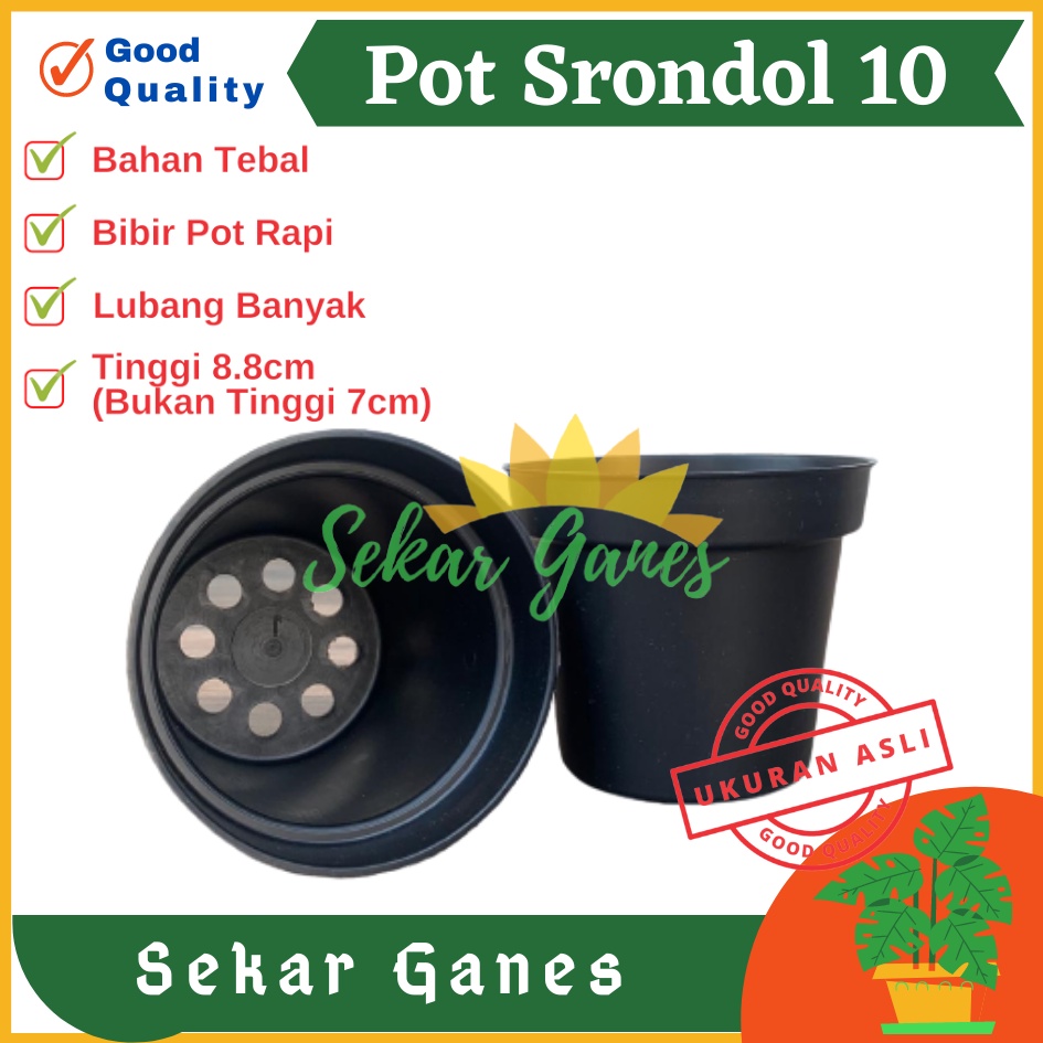 POT 10 CM HITAM MURAH - POT BULAT KECIL BISA UNTUK VAS BUNGA - POT TANAMAN 10CM HITAM BENIH KECIL OK