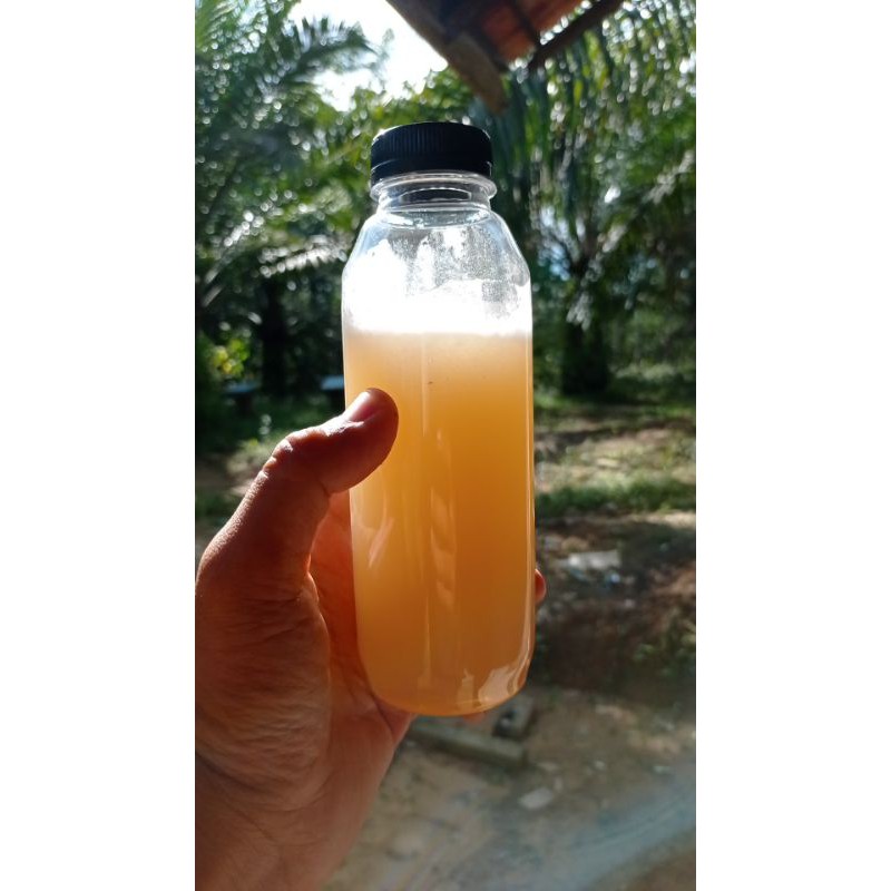 

Madu Trigona Itama 1kg