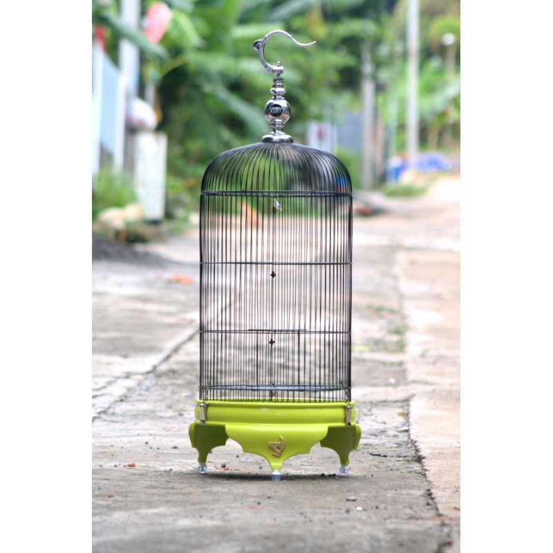 Tebok Lovebird PVC kuby