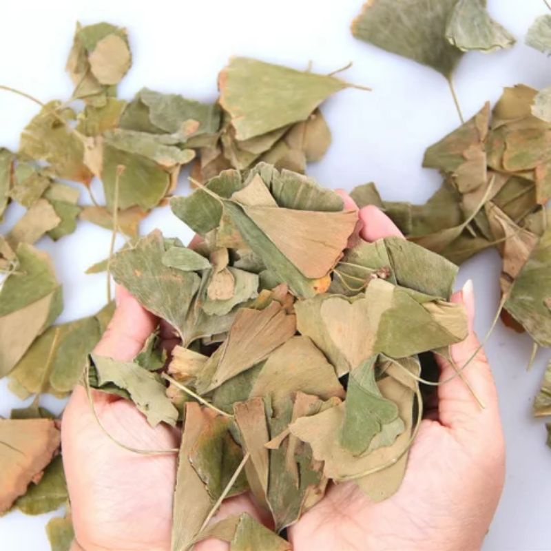 Ginkgo Leaf Tea / Premium Dried Ginkgo Leaf Tea - 500 Gram