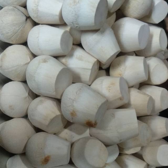 

Kelapa muda bulat