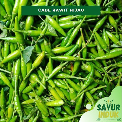 

Sayur Induk - Cabe Rawit Hijau 250 Gram Fresh Grade A Green Chili - Sayur Segar Murah