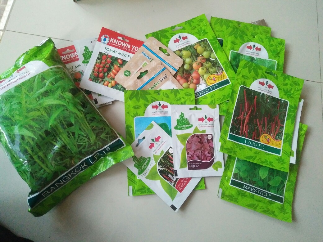 Benih Bibit Cabai Cabe Jalapeno Early Hot Pepper