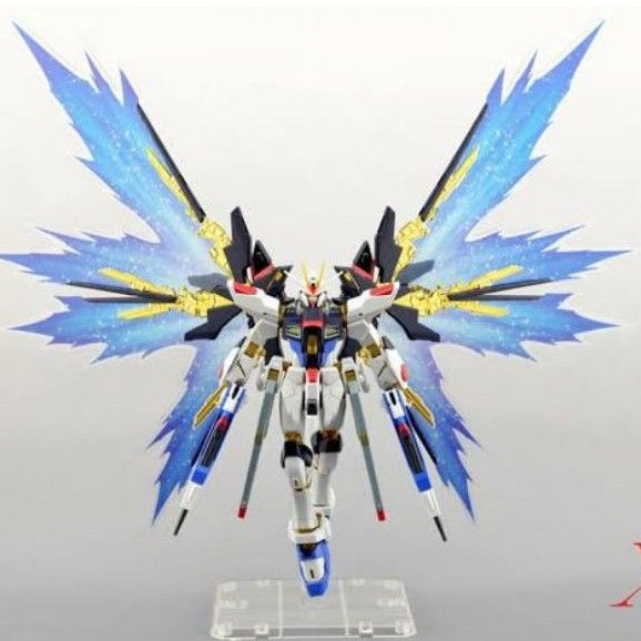 XC RG 1/144 Wing Of The skies Strike Freedom gund4m effect