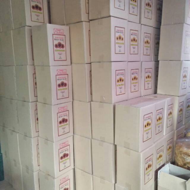 Keripik bawang hidup baru