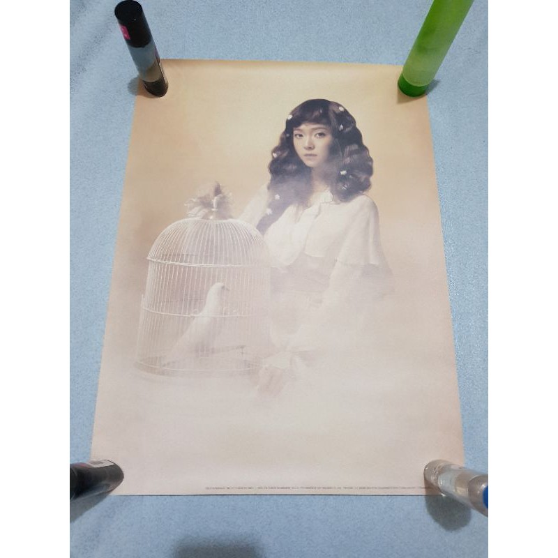 Poster Individual SNSD The Boys Jessica Hyoyeon