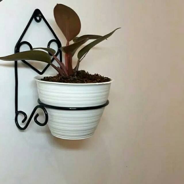 Gantungan Pot Bunga dinding unik