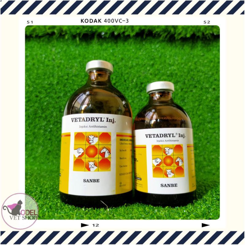 VETADRYL 100 ml [ANTIHISTAMIN]