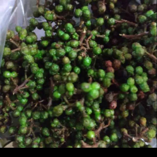 

Andaliman Medan
