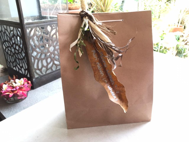 Guling Canon Dacron Silicon Murah Bisa Jne Luar Kota