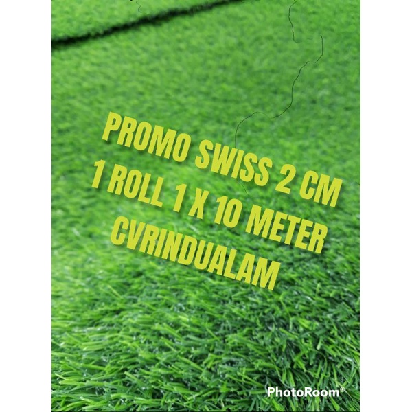 Rumput Sintetis Tebal 2 cm
