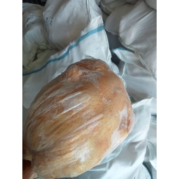 

Ayam karkas -+900-1kg