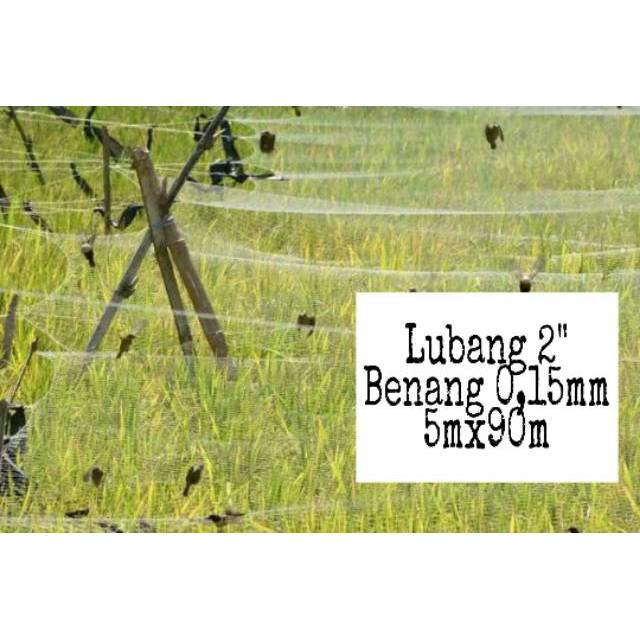 JARING BURUNG EMPRIT 2 JARI/ JARING BURUNG SAWAH 2" JARING BURUNG EMPRIT 2"
