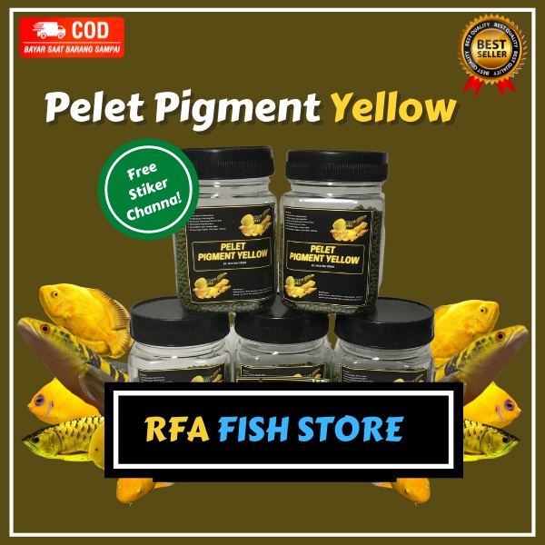 Pelet Pigment BLUE YELLOW RED Kualitas Premium Untuk Pakan Ikan Predator Channa Auranti, Barca, Pulcra, Stewarti, Limbata, Maru, Asiatica, Peacock ass, Oscar, Koi, Koki, Diskus, Arwana, dan ikan hias lainnya. Bukan Pelet el barca, Bang fish, Fajar Arief