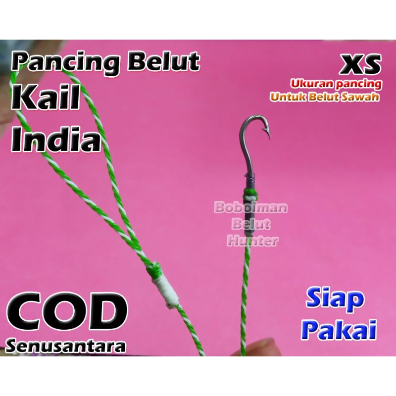kail india / pancing belut