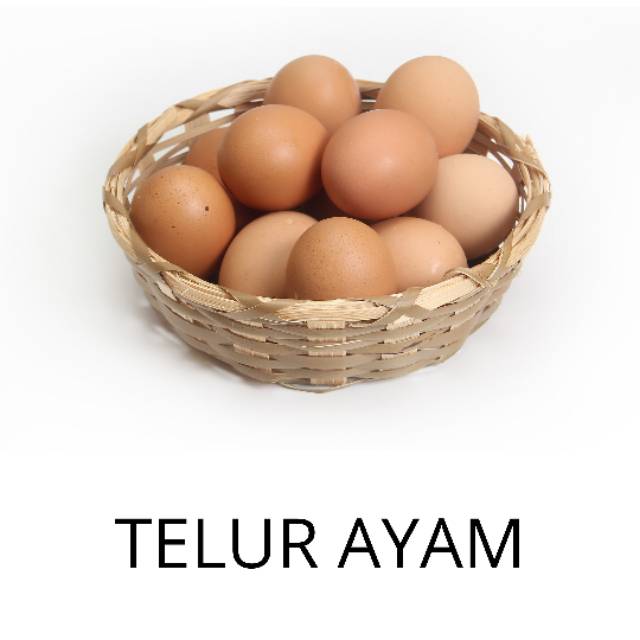 

Telur ayam
