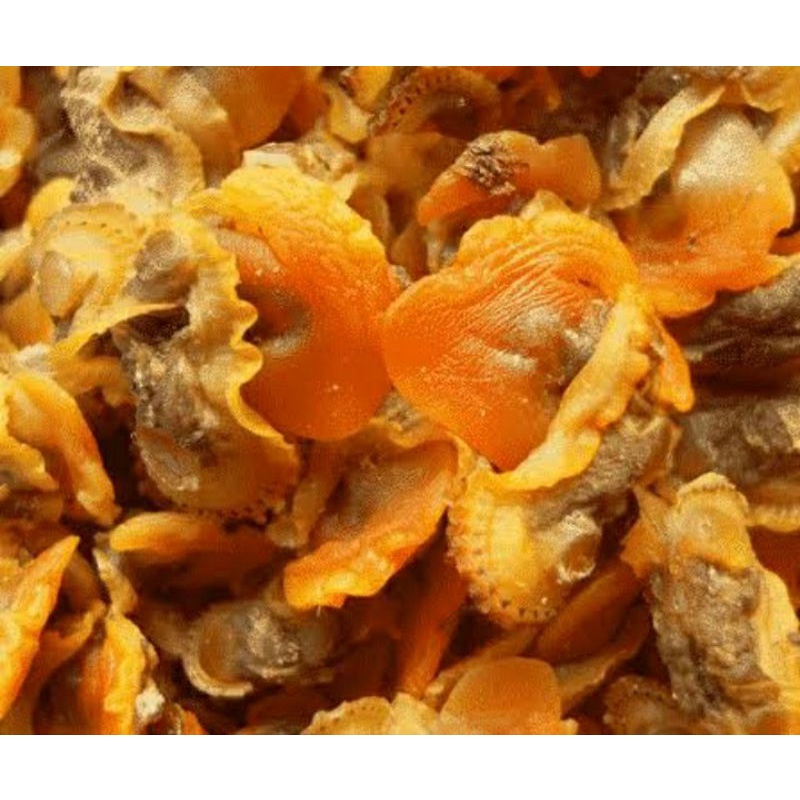 

kerang darah kupas