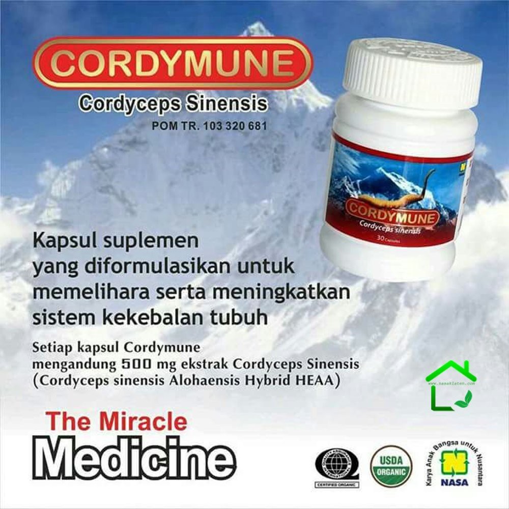 

Cordymune Organic