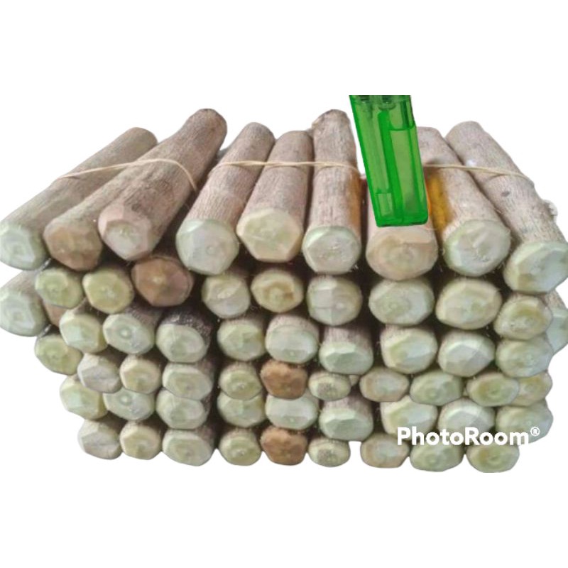 BAHAN STEK MURAH ANTING PUTRI, SANCANG, WARU MERAH BELI 10 BONUS 1