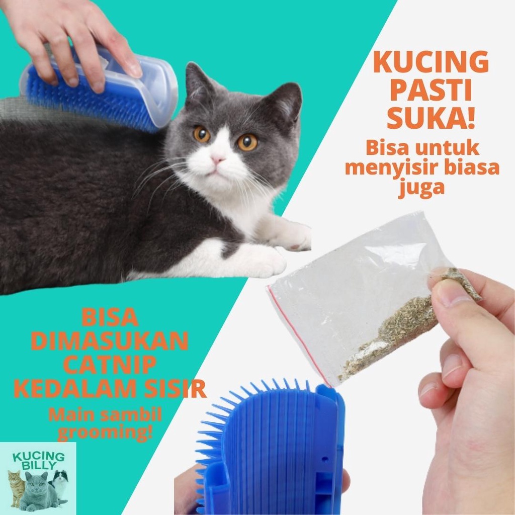 Sisir sudut kucing