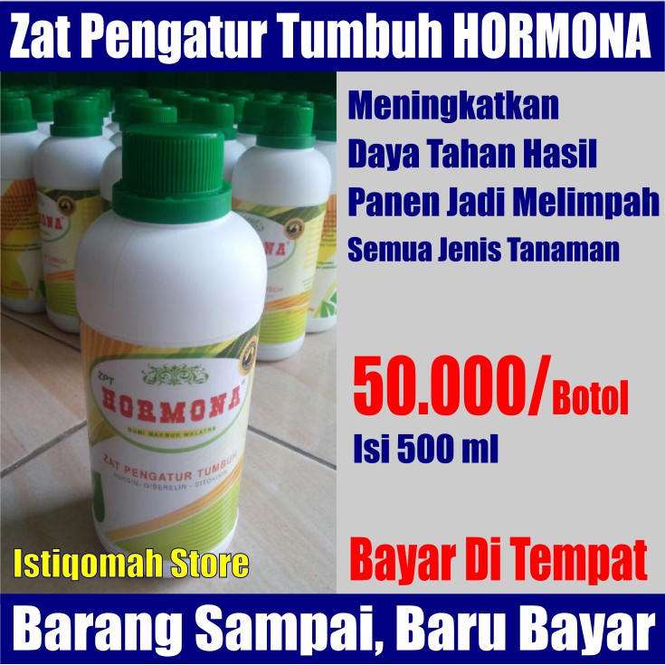 ZPT HORMONA isi 500ml Meningkatkan Daya Tahan Hasil Panen Jadi Melimpah untuk Semua Jenis Tanaman