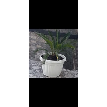 pot ukuran 45 plastik