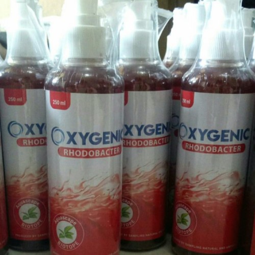 Oxygenic Aquarium Aquascape Rhodobacter bacteri starter 250ml saputra_store13