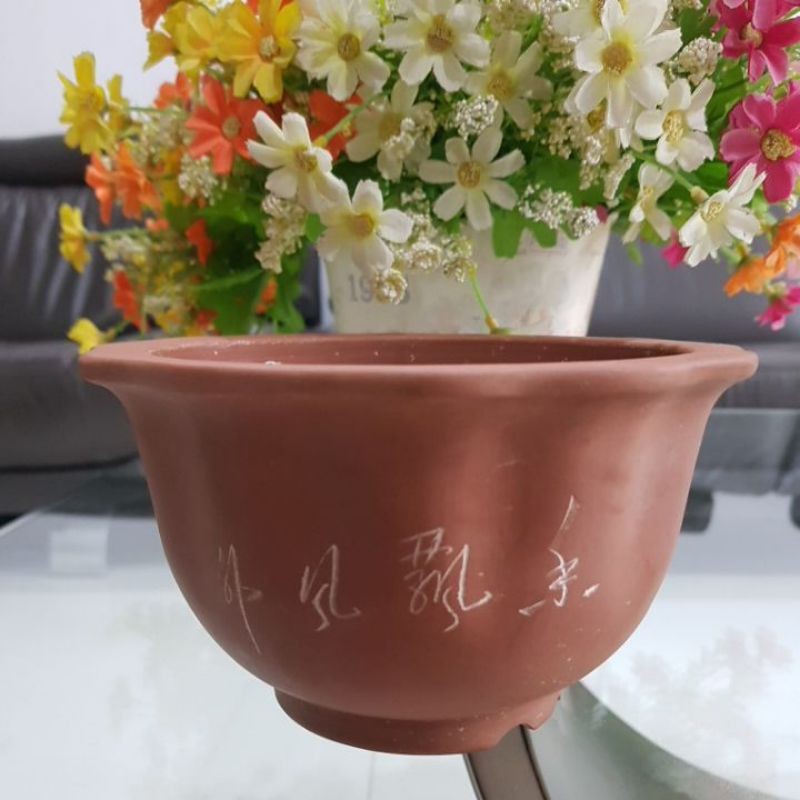 Pot Bonsai Tanaman Hias