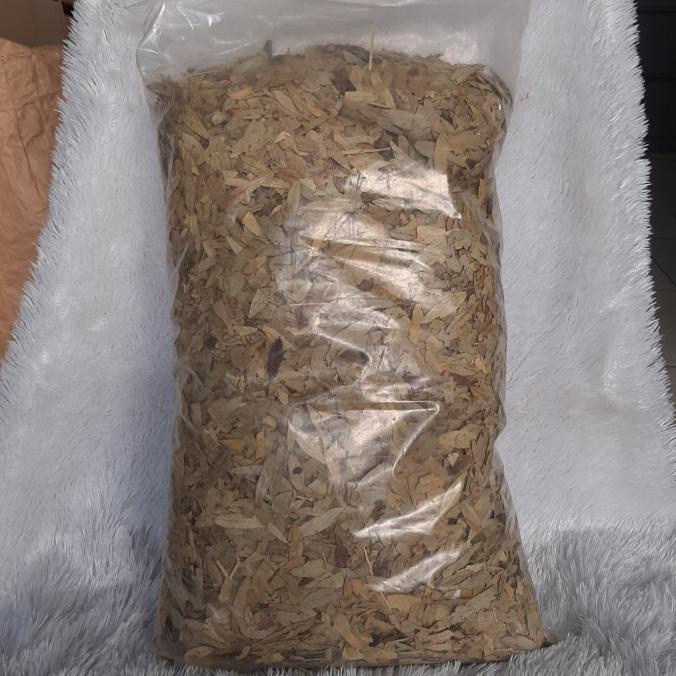 

Produk Terbaik] Teh Daun Jati Belanda 1kg