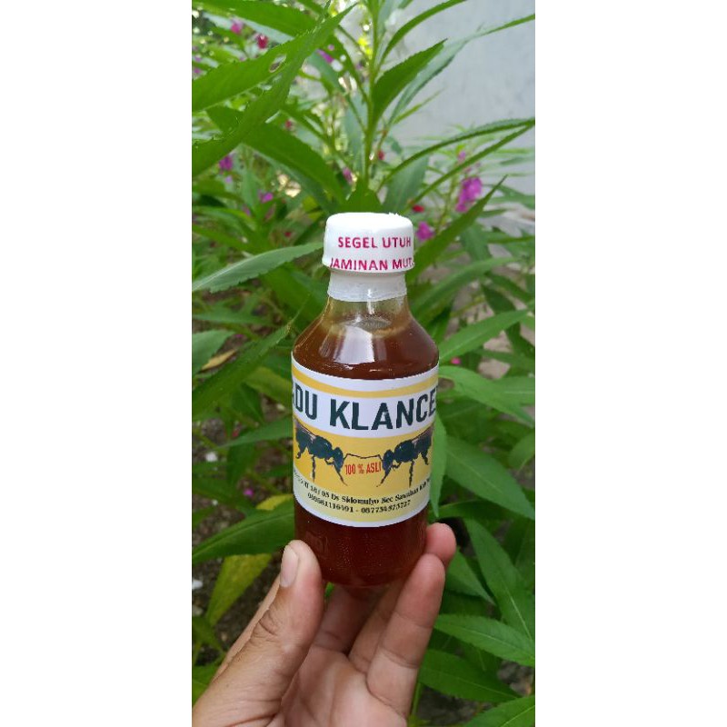 

madu klanceng Itama sedot