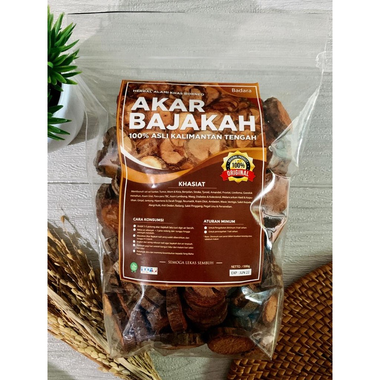 1Kg Akar Bajakah Tampala SUPER (BADARA) Kalimantan Siap Seduh Obat Jantung &amp; Stroke (100% ORIGINAL)