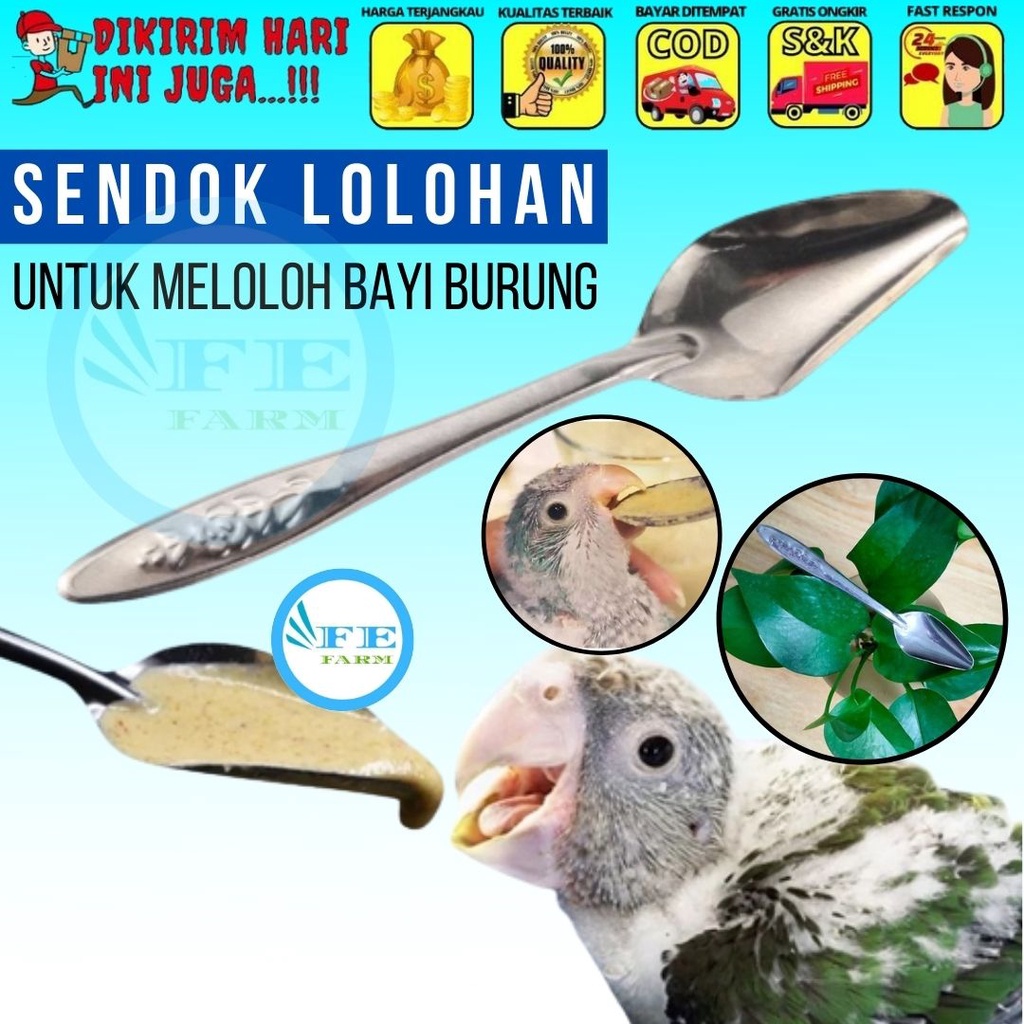 Sendok Makan Lolohan Baby Burung Parrot Lovebird Feeding Spoon Pet Bird FEFARM