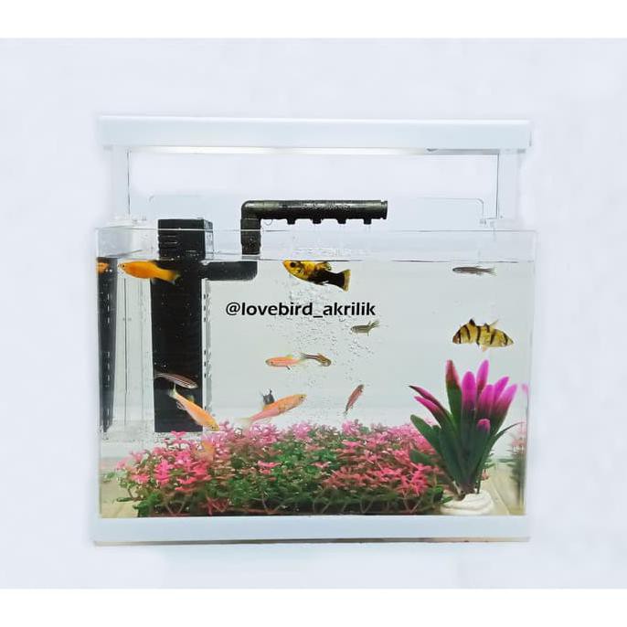 |Terbaru| Aquarium Akrilik, Mini Aquarium, Aquarium Mini, Aquarium Cupang |Promo