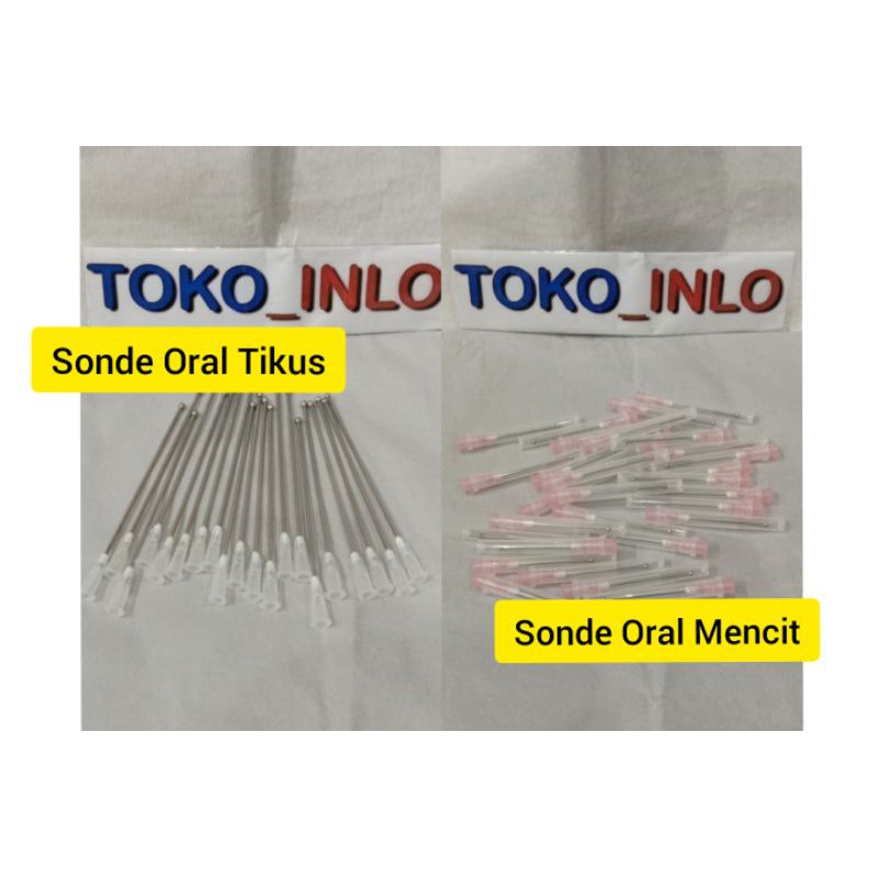 Sonde Oral /sonde Mencit / sonde Tikus / Sonde Mencit perpcs / Sonde Tikus perpcs