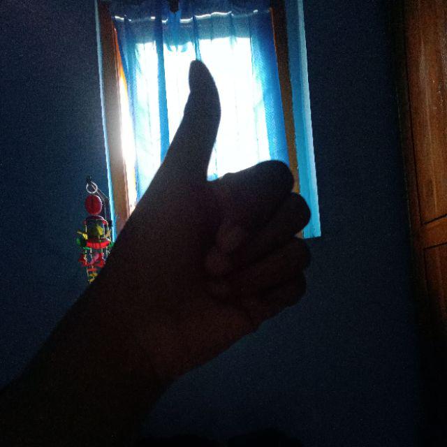 Fullerton 40sp Pembasmi Hama Ulat,kutu,semut Dll. Pestisida Anggrek & Tanaman Hias