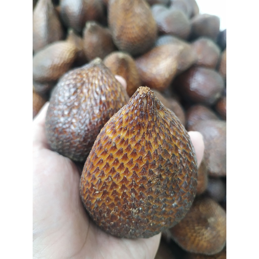 Buah salak Pondok Manis  Shopee Indonesia